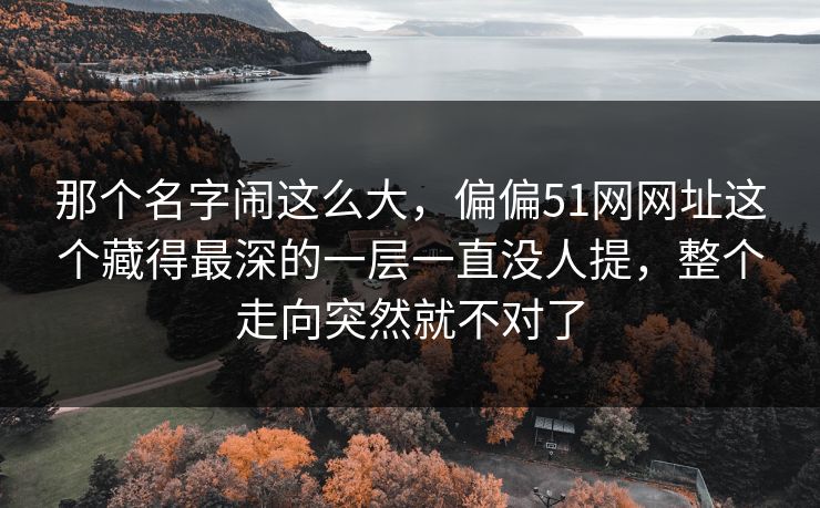 那个名字闹这么大，偏偏51网网址这个藏得最深的一层一直没人提，整个走向突然就不对了
