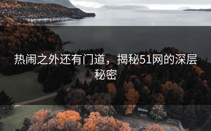 热闹之外还有门道，揭秘51网的深层秘密