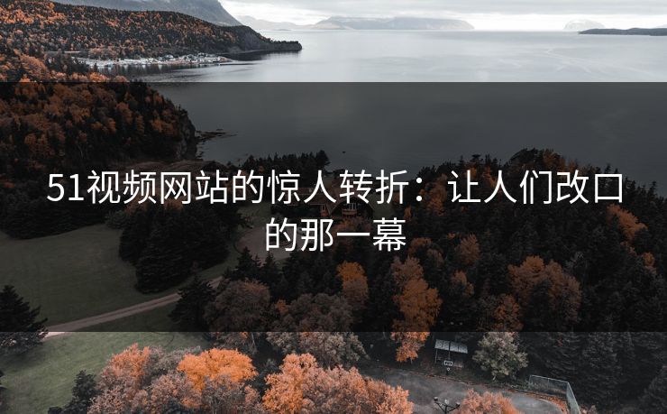 51视频网站的惊人转折：让人们改口的那一幕